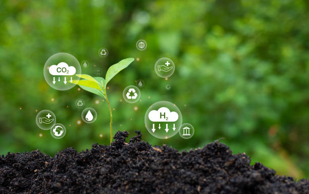 Carbon Sequestration