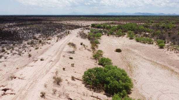 Sustainable Agriculture